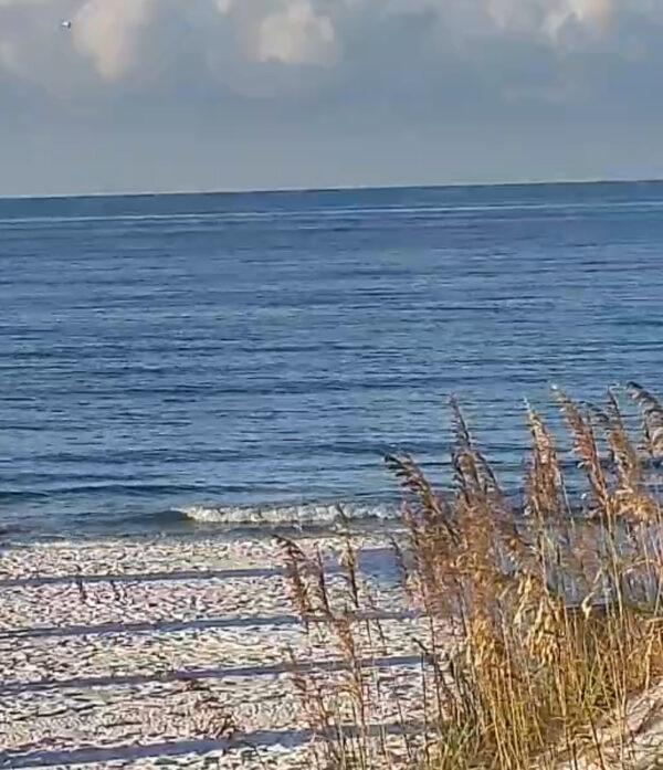 Friday Morning 8/15/25