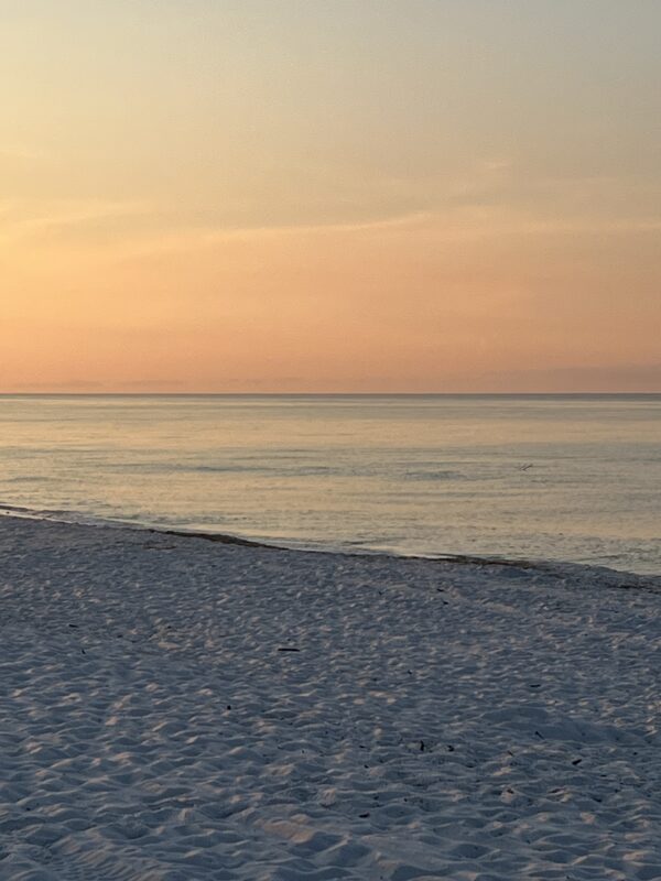 Saturday Morning 8/16/25