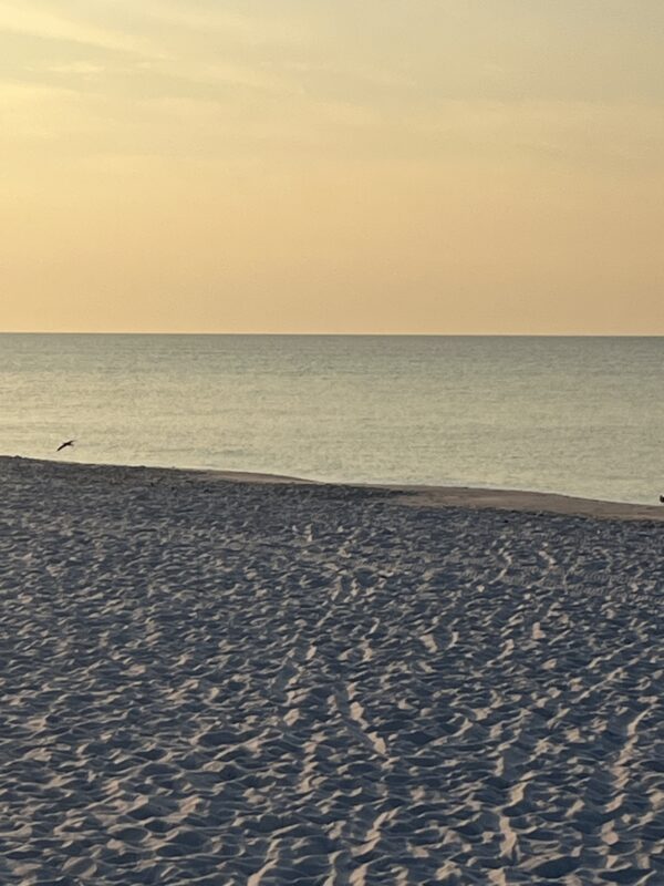 Sunday Morning 8/17/25