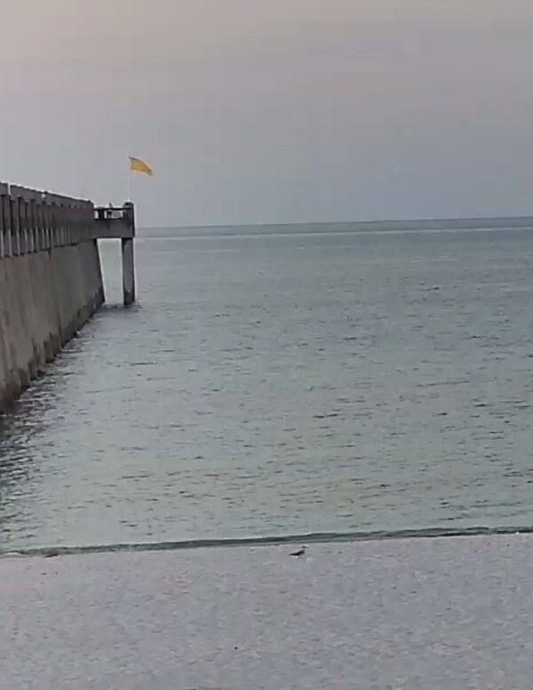 Monday Morning 8/18/25