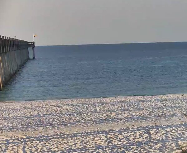 Tuesday Morning 8/19/25