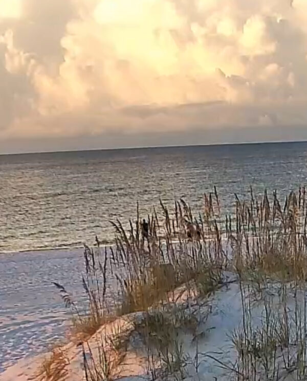 Wednesday Morning 8/20/25