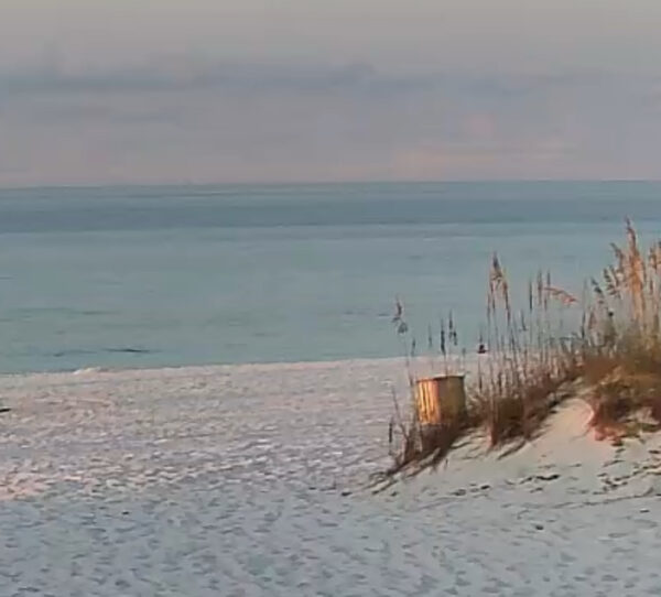 Thursday Morning 8/21/25