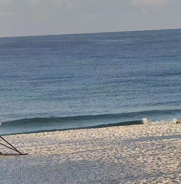 Sunday Morning 8/24/25