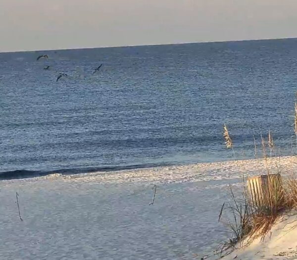 Monday Morning 8/25/25