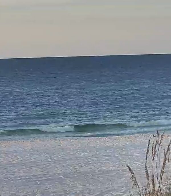 Tuesday Morning 8/26/25