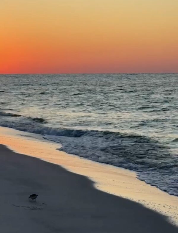 Wednesday Morning 9/3/25