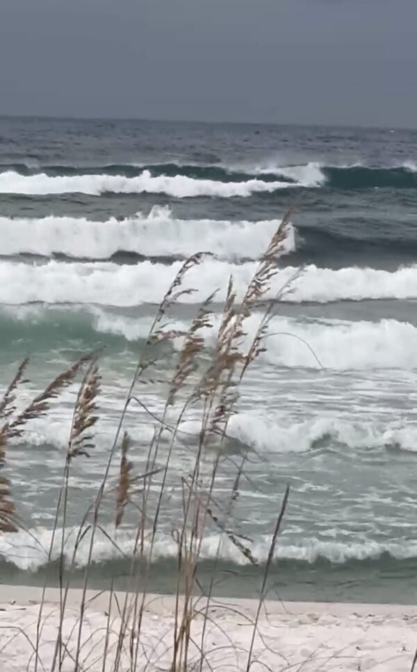 Tuesday Morning 9/9/25