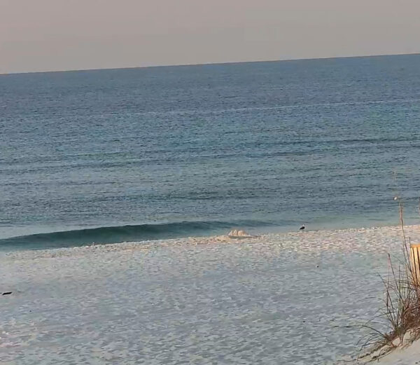 Saturday Morning 9/20/25