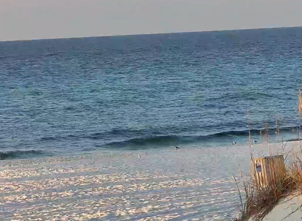 Monday Morning 9/22/25