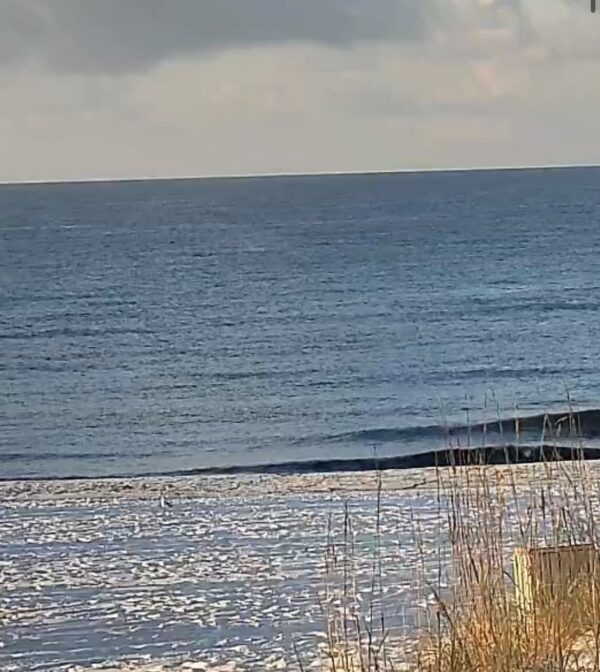 Tuesday Morning 9/23/25