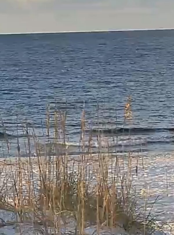 Wednesday Morning 9/24/25