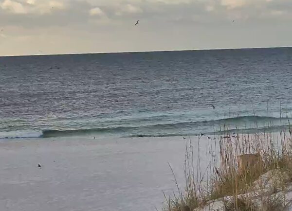 Wednesday Morning 10/1/25