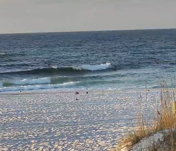 Thursday Morning 10/2/25