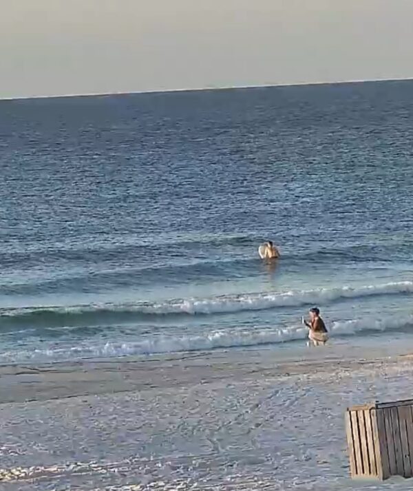 Wednesday Morning 10/8/25