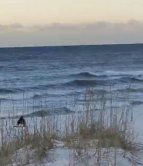 Friday Morning 10/10/25