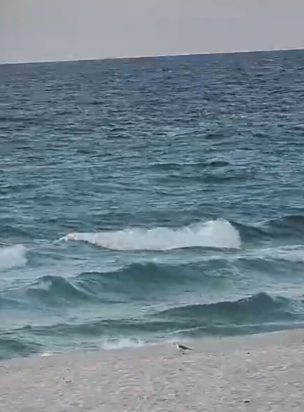 Saturday Morning 10/18/25