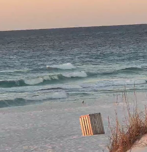 Monday Morning 10/20/25