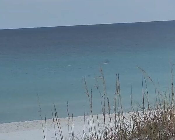 Wednesday Morning 10/22/25