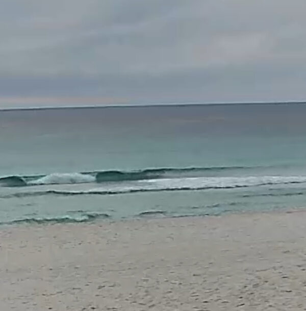 Thursday Morning 11/6/25