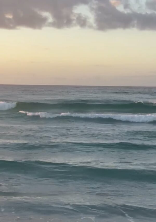 Saturday Morning 11/8/25