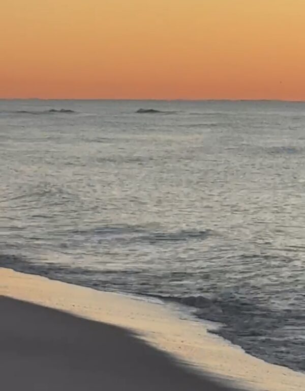 Wednesday Morning 11/12/25