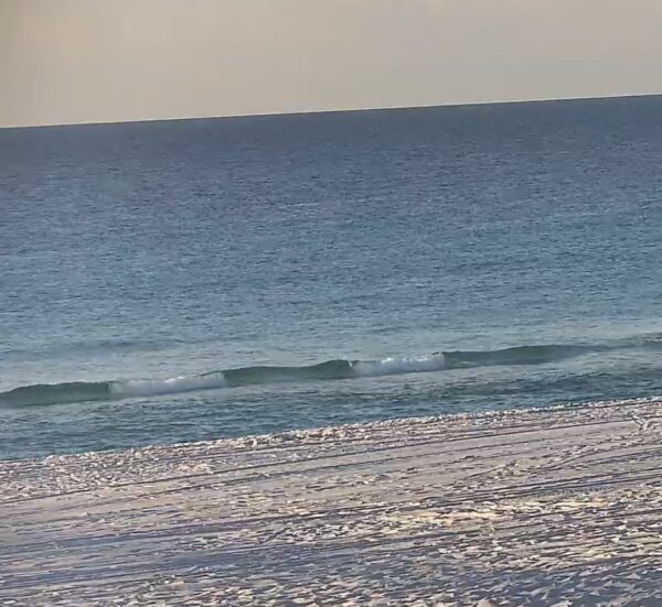 Tuesday Morning 11/18/25