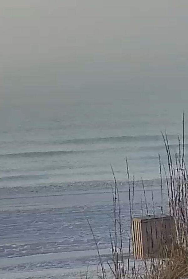 Wednesday Morning 11/19/25