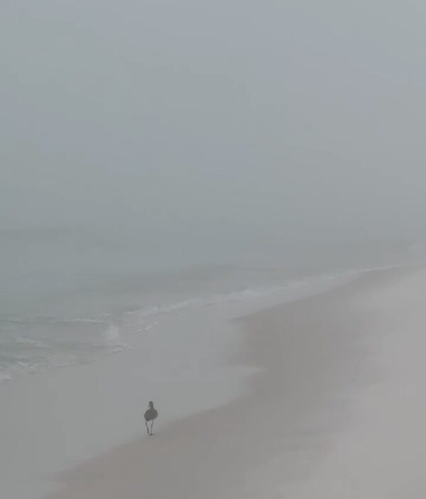 Thursday Morning 11/20/25