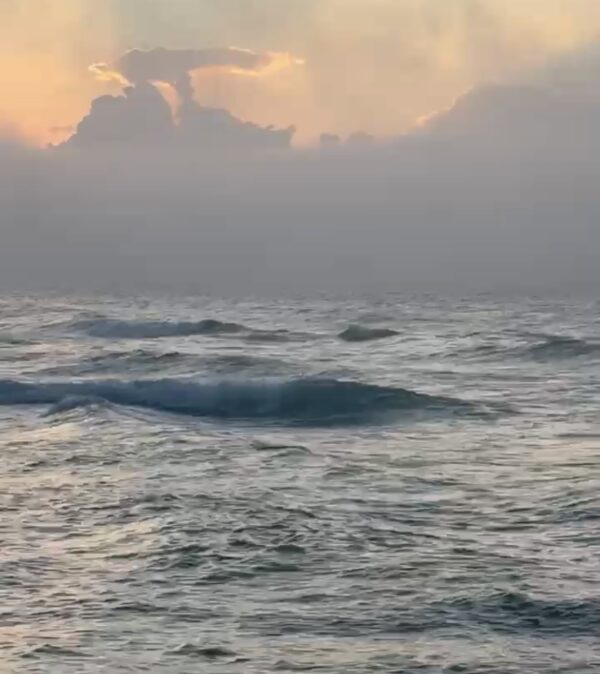 Saturday Morning 11/22/25