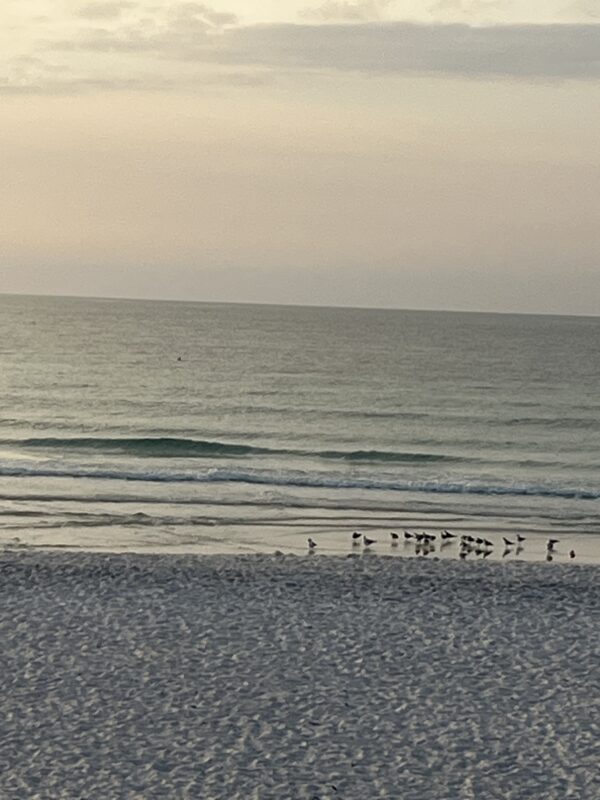 Monday Morning 11/24/25