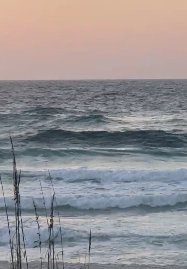 Tuesday Morning 11/25/25