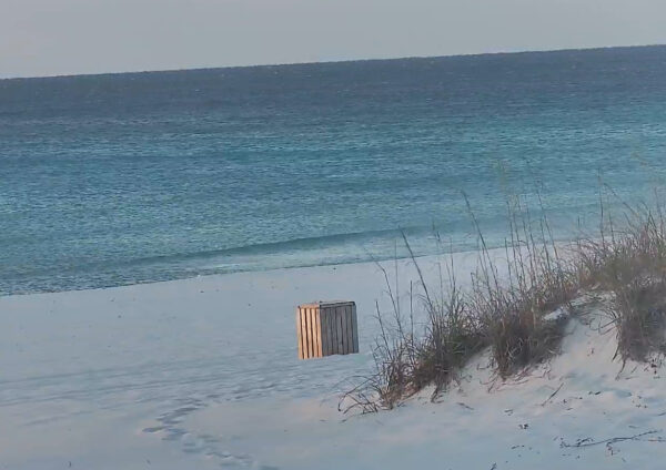 Thursday Morning 11/27/25