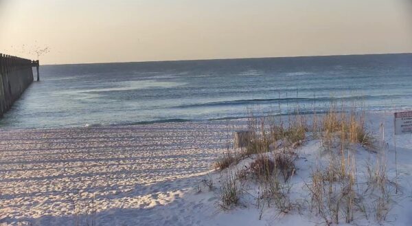 Friday Morning November 14th