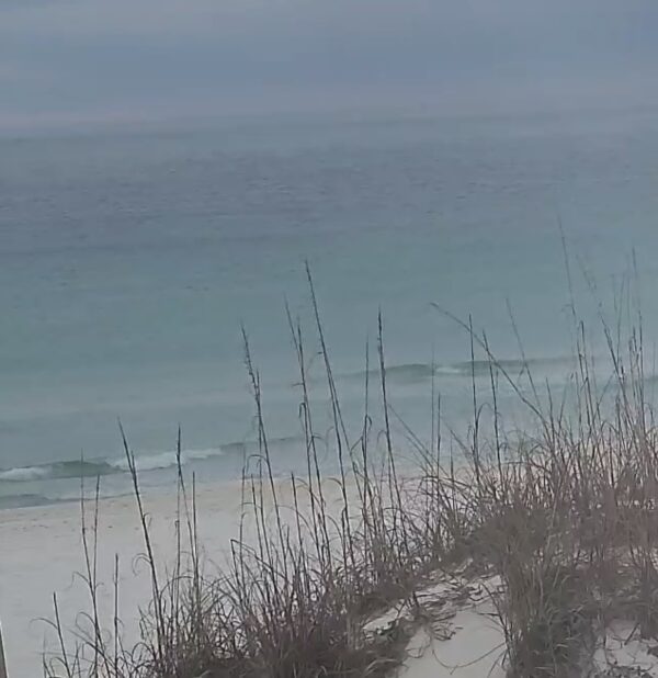 Wednesday Morning 12/3/25