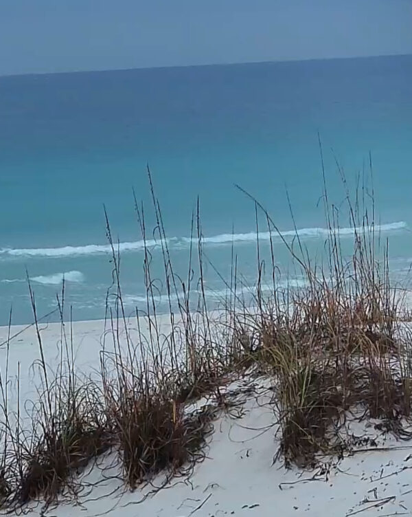 Saturday Morning 12/6/25