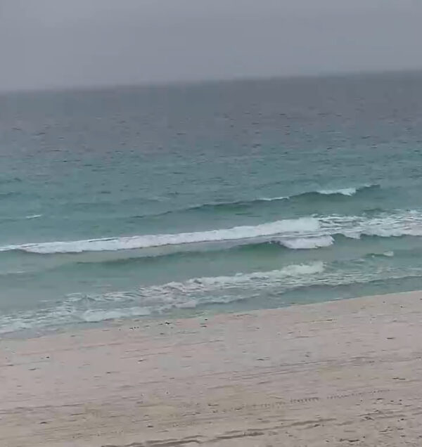 Sunday Morning  12/7/25