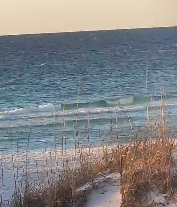 Saturday Morning 12/20/25