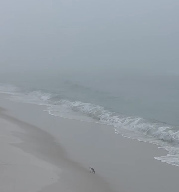 Friday Morning 12/26/25