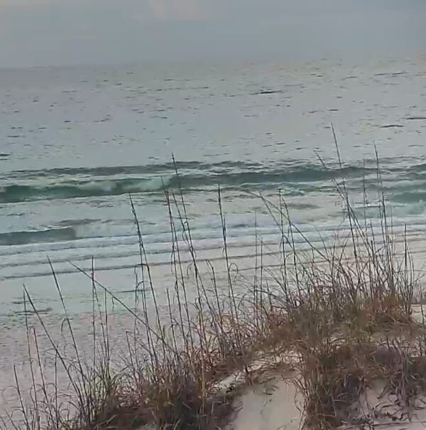 Friday Morning 1/2/26