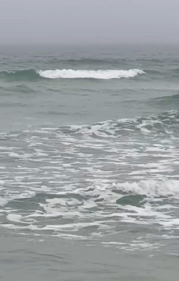 Wednesday Morning 1/7/26