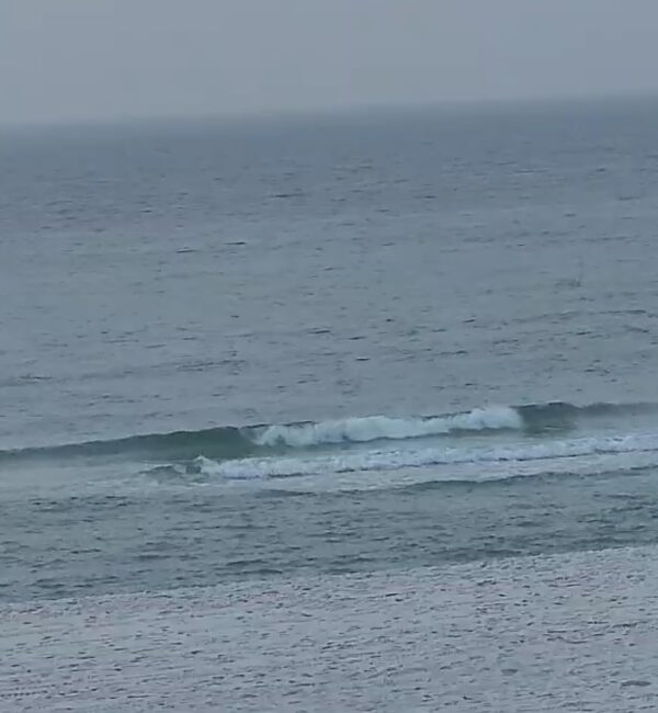 Thursday Morning 1/8/26