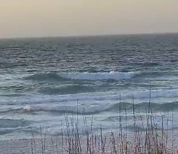 Saturday Morning 1/10/26