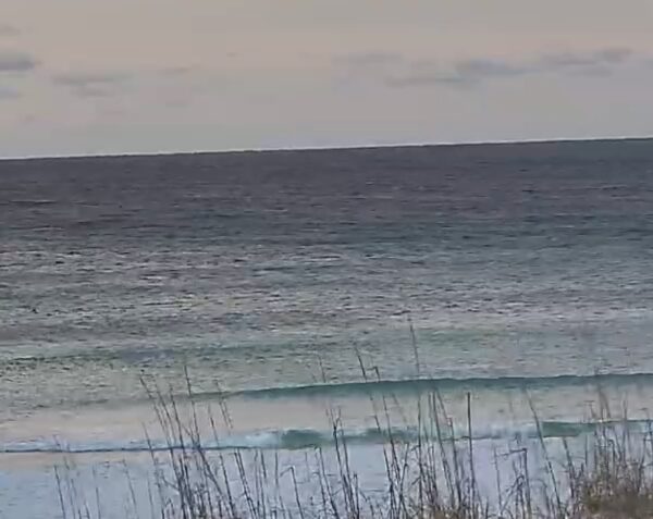 Sunday Morning 1/11/26