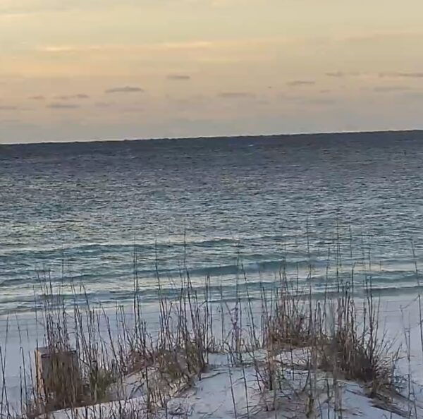 Monday Morning 1/12/2026