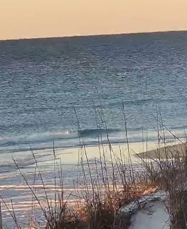 Tuesday Morning 1/13/26