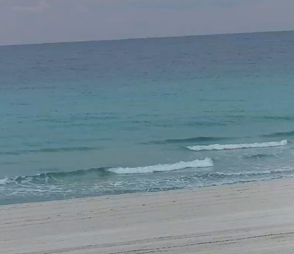 Wednesday Morning 1/14/26