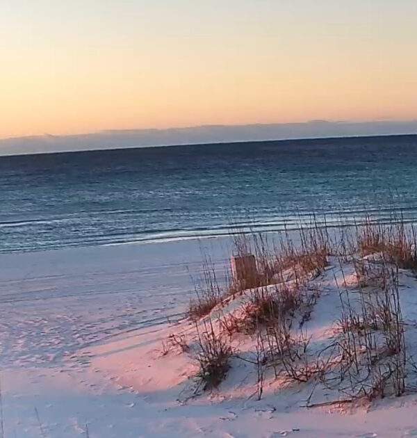 Thursday Morning 1/15/26