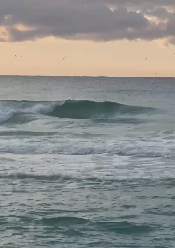 Saturday Morning 1/17/26