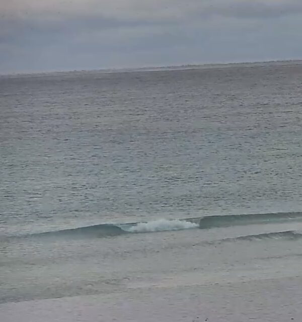 Sunday Morning 1/18/26